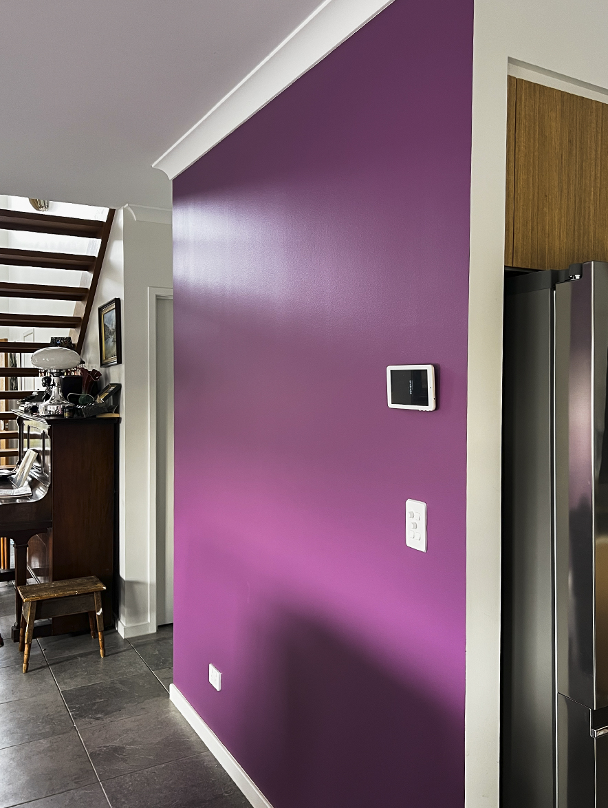 professional house painters in Byron Bay