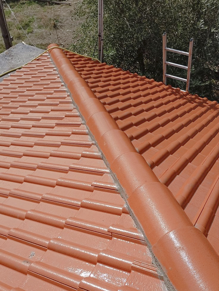 professional roof painting in Byron Bay